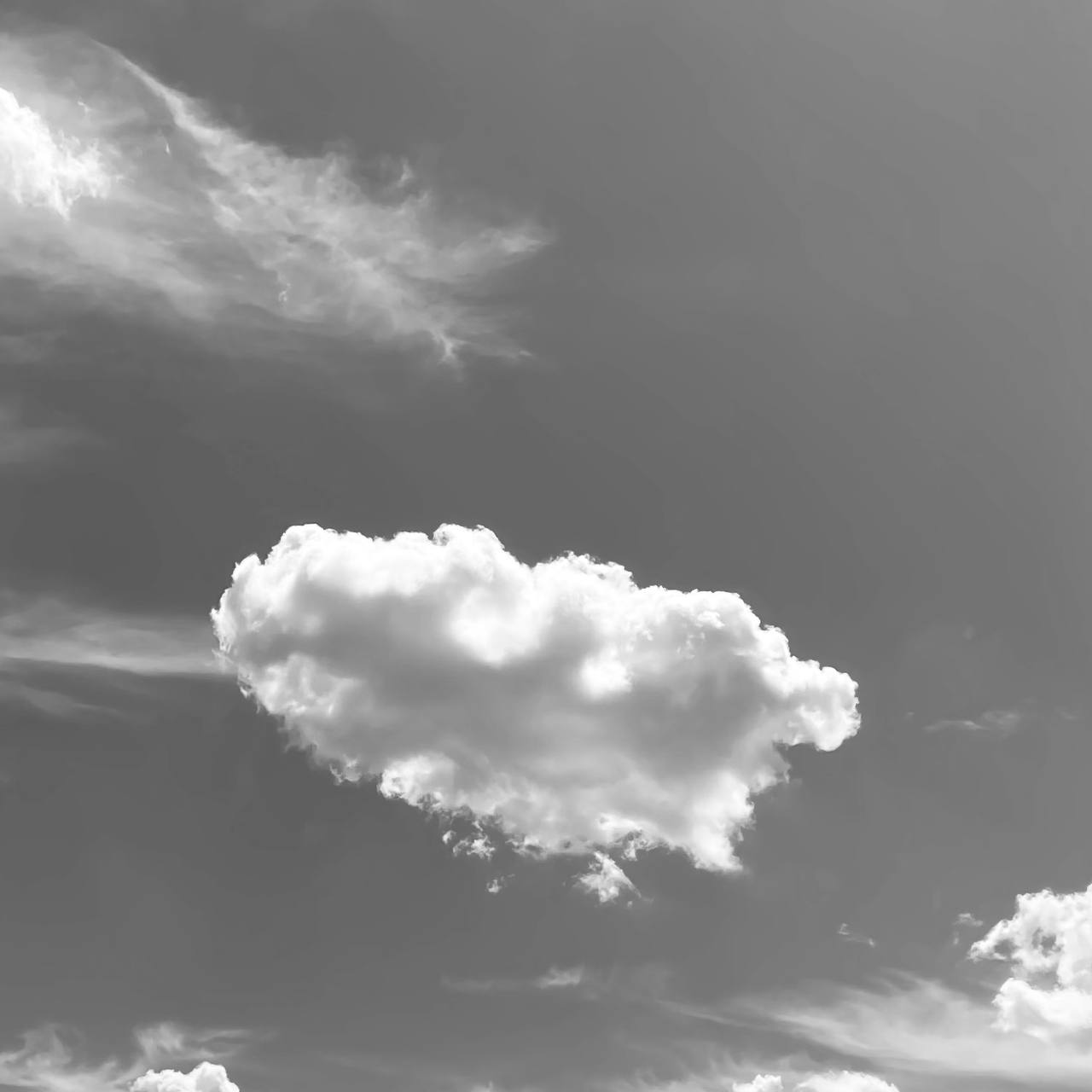 Cloud in Noir